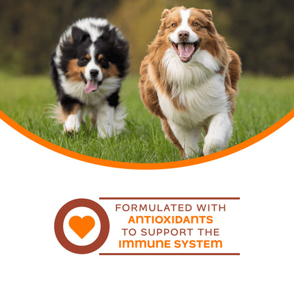 Fromm Nutritionals Immunity Functional Dog Treats