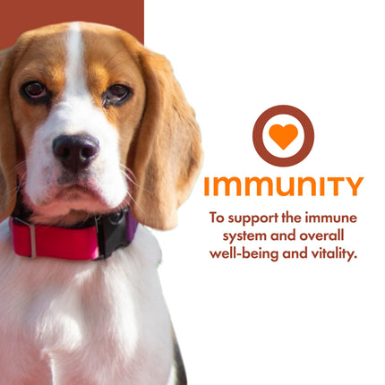 Fromm Nutritionals Immunity Functional Dog Treats