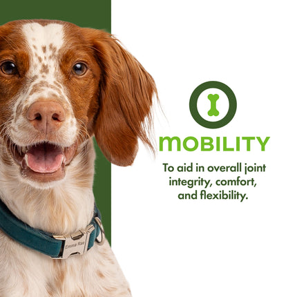 Fromm Nutritionals Mobility Functional Dog Treats
