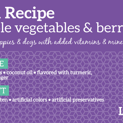 Health Extension Grain Free Venison Recipe Dog Food