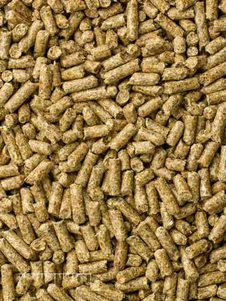 Mazuri Timothy Based Guinea Pig Food