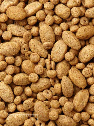 Mazuri Bird Food Parrot Maintenance