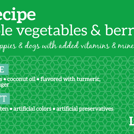 Health Extension Grain Free Duck Recipe Dog Food