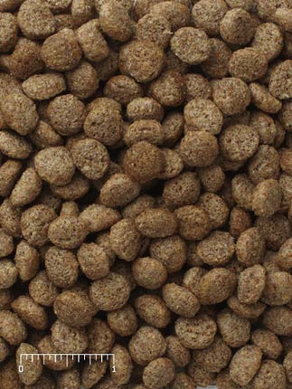 Mazuri Kangaroo Wallaby