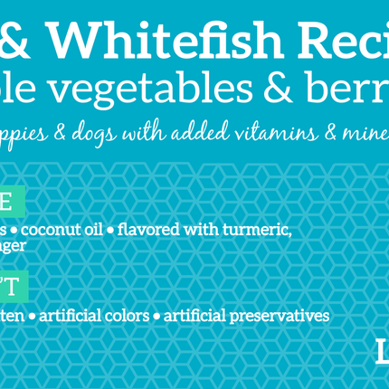 Health Extension Grain Free Buffalo & Whitefish Recipe Little Bites Dog Food