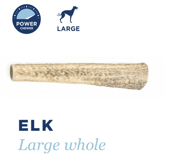 BarkWorthies Elk Whole Antlers