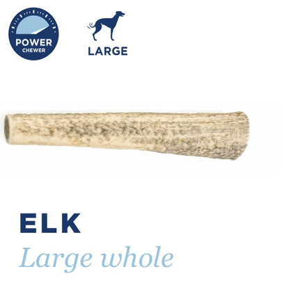 BarkWorthies Elk Whole Antlers