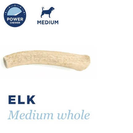 BarkWorthies Elk Whole Antlers
