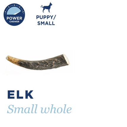 BarkWorthies Elk Whole Antlers