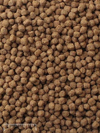 Mazuri Koi Platinum Nuggets