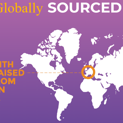 ZIGNATURE DUCK GRAIN FREE LIMITED INGREDIENT DOG FOOD CANS 12OZ (12 COUNT)