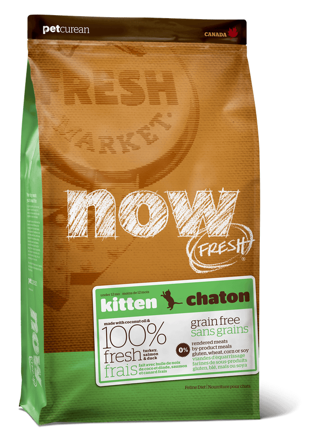 Now Fresh Grain Free Kitten Recipe Cat Food