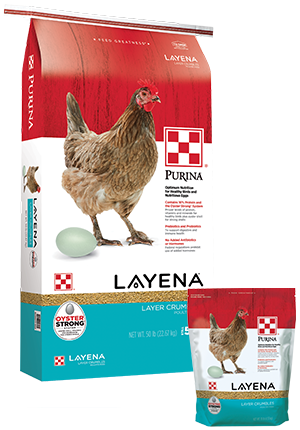 Purina® Layena Crumbles Chicken Feed