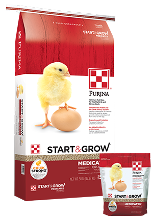 Purina® Start & Grow Chicken Feed Medicated