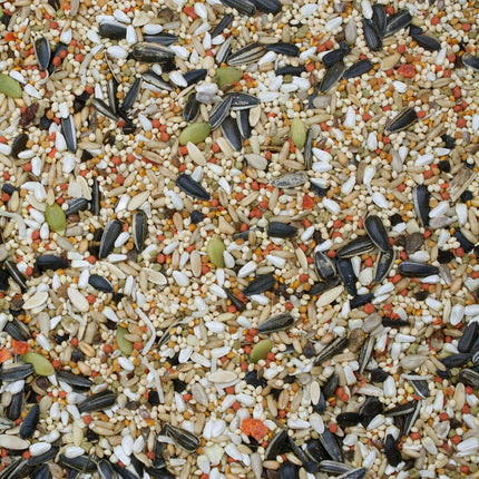 Higgins Bird Food Sunburst Cockatiel