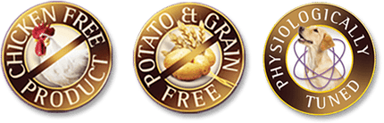 ZIGNATURE DUCK GRAIN FREE LIMITED INGREDIENT DOG FOOD CANS 12OZ (12 COUNT)