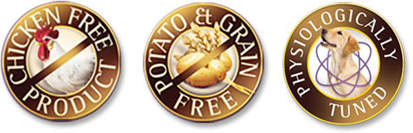 ZIGNATURE PORK GRAIN FREE LIMITED INGREDIENT DOG FOOD CANS 12OZ (12 COUNT)