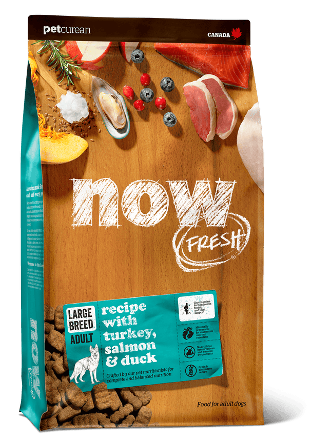 NOW FRESH Grain Free Large Breed Adult Recipe Dog Food