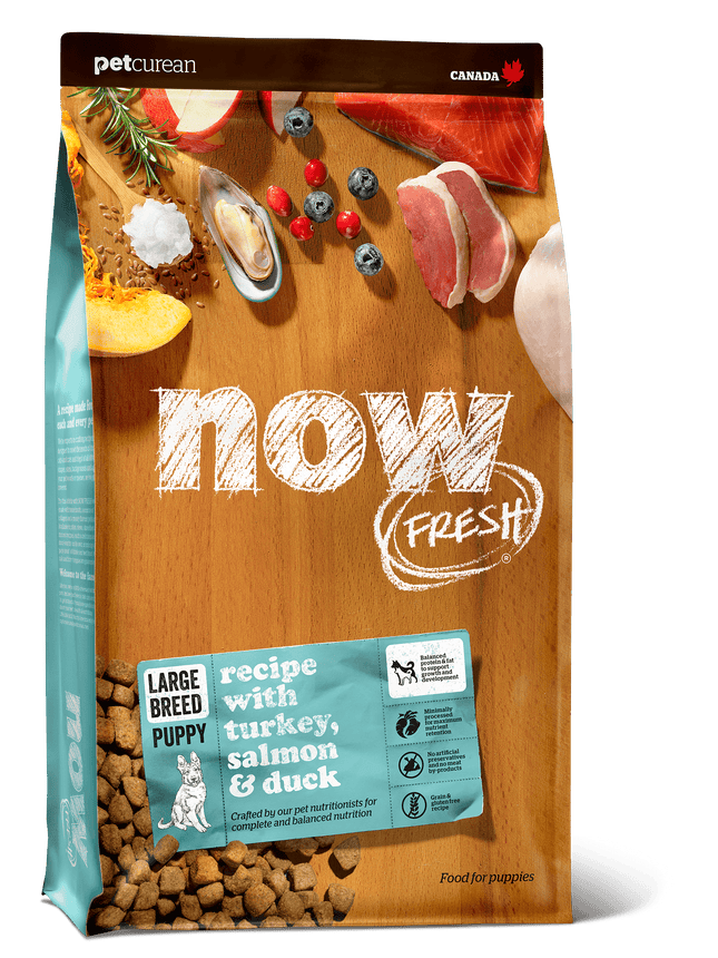 NOW FRESH Grain Free Large Breed Puppy Recipe Dog Food