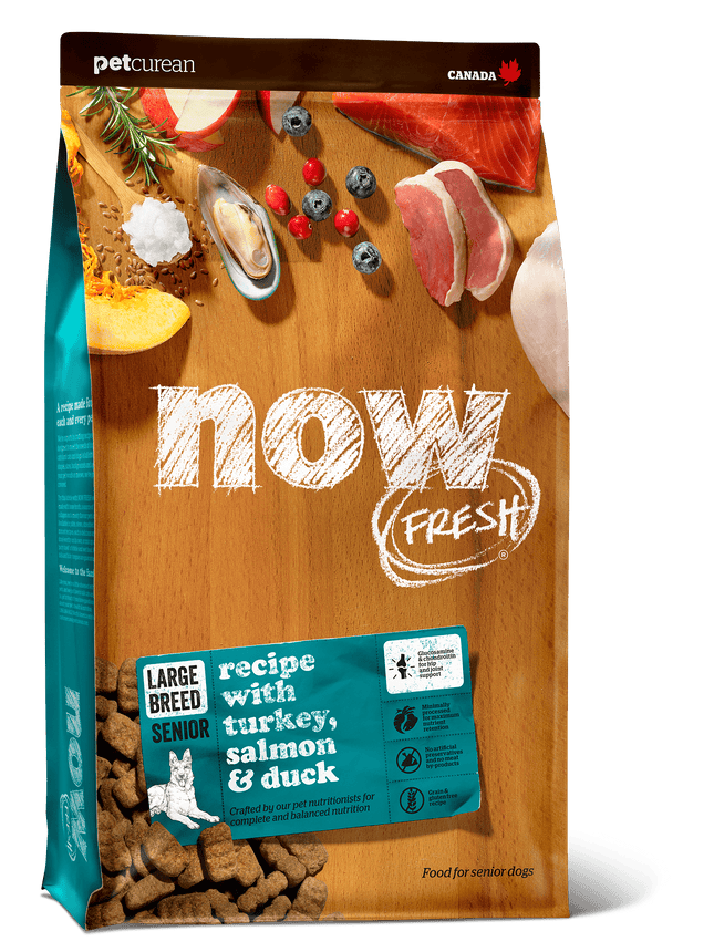 NOW FRESH Grain Free Large Breed Senior Recipe Dog Food