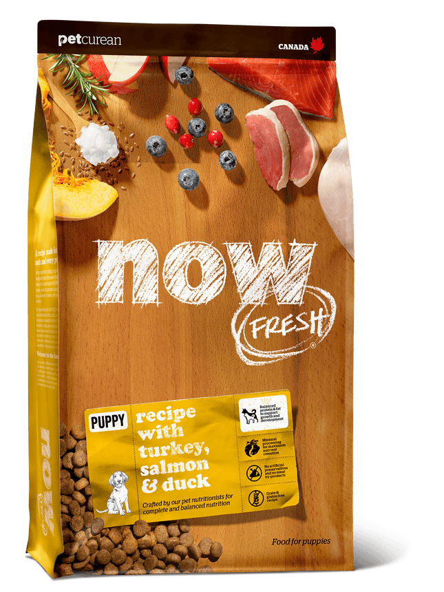 NOW FRESH Grain Free Puppy Recipe Dog Food