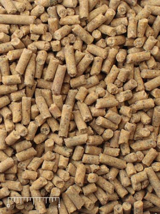 Mazuri Mini Pig Youth