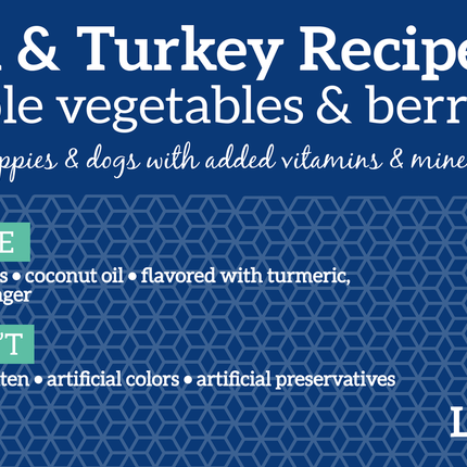 Health Extension Grain Free Chicken & Turkey Recipe Dog Food