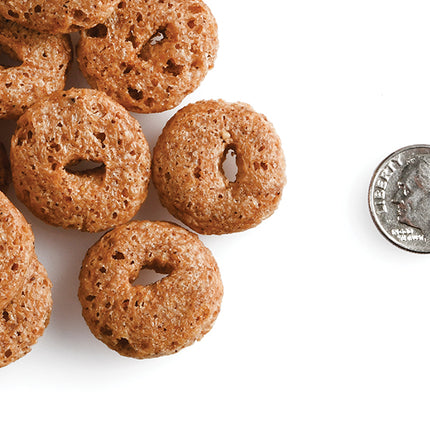 Fromm Family Crunchy O's Pumpkin Kran Pow Dog Treats