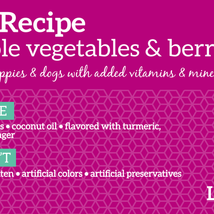 Health Extension Grain Free Salmon Recipe Dog Food