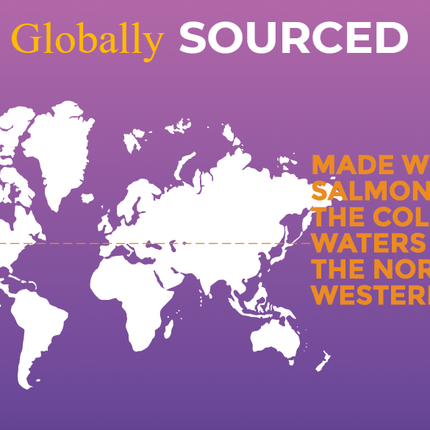 ZIGNATURE SALMON GRAIN FREE LIMITED INGREDIENT DOG FOOD CANS 12OZ (12 COUNT)