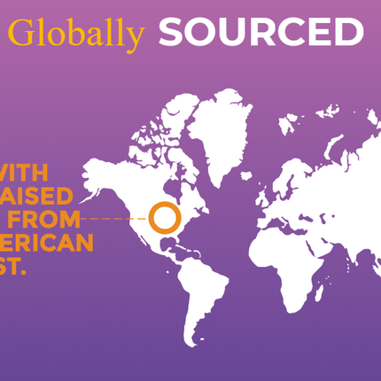 ZIGNATURE TURKEY GRAIN FREE LIMITED INGREDIENT DOG FOOD CANS 12OZ (12 COUNT)