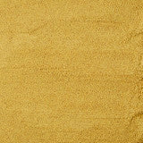 Kaytee Exact Handfeeding -- Baby Macaw 5-lb